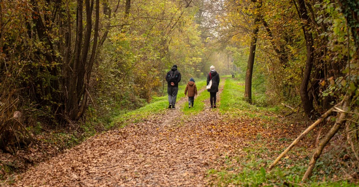 Famille marchant sur un sentier forestier pittoresque d'automne dans la Croatie rurale.